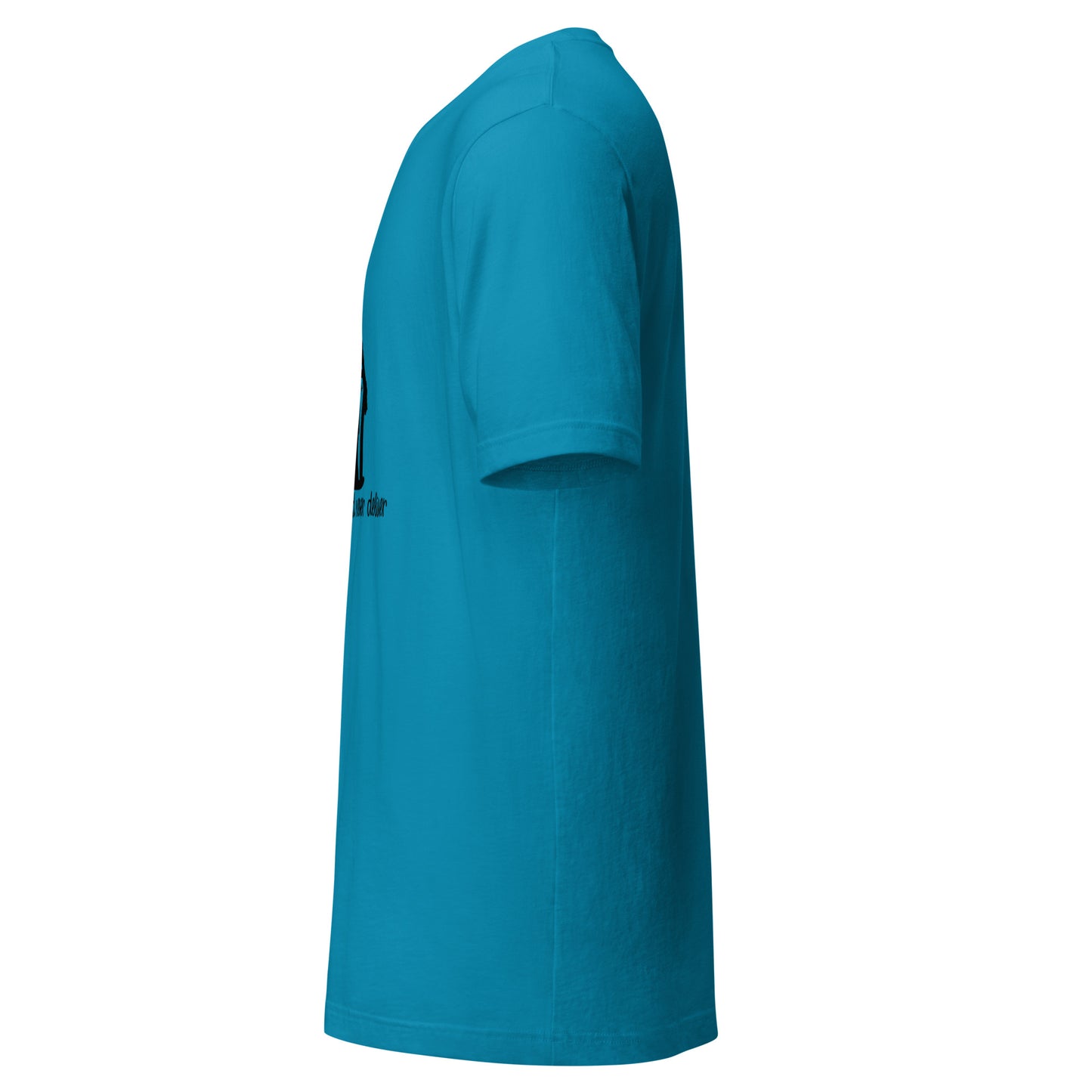 Gift Santa Could Never Deliver T-Shirt