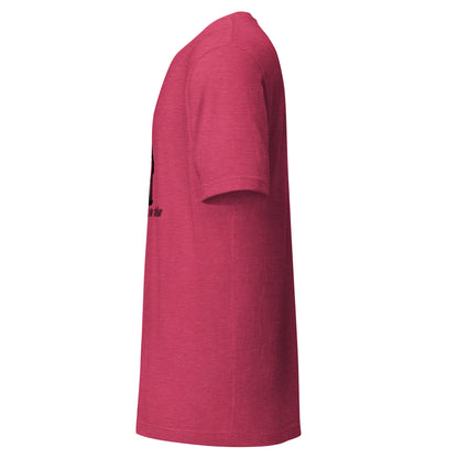 Gift Santa Could Never Deliver T-Shirt